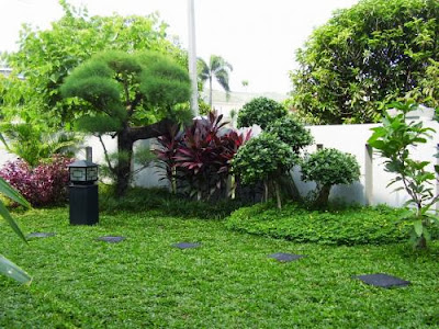 cara dan tips membuat taman minimalis depan rumah