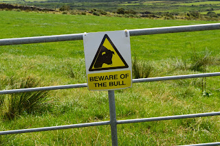 Sign on gate reading Beware of the bull. Whoah.