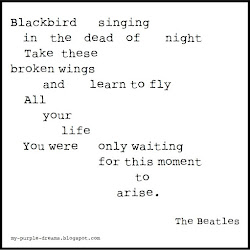 blackbird lyrics beatles dead singing night song songs bird lyric funeral quotes arise waiting moment dreams purple were discover