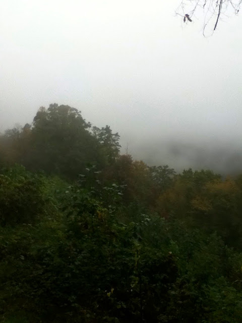 Fog in the Great Smoky Mountains