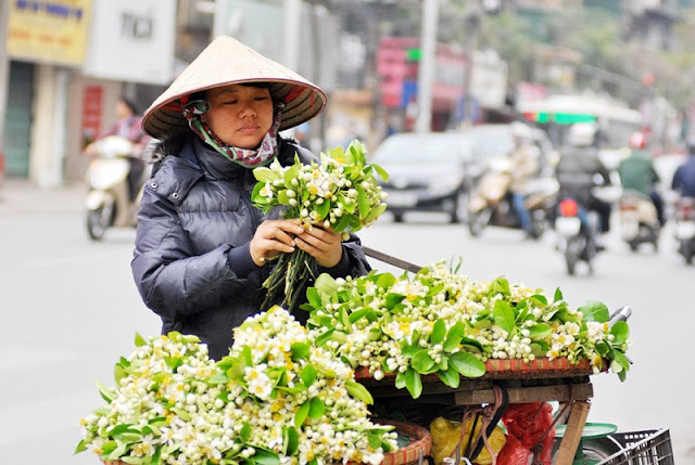 Hanoi scented with grapefruit flowers 2
