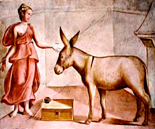 Nero maturo asini