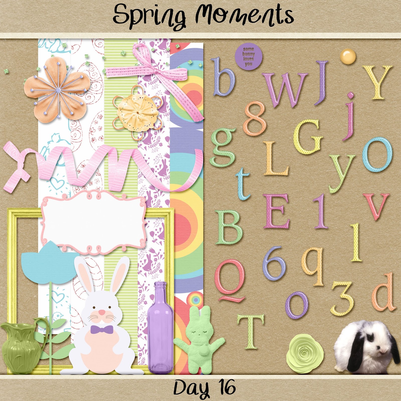 My Image 24