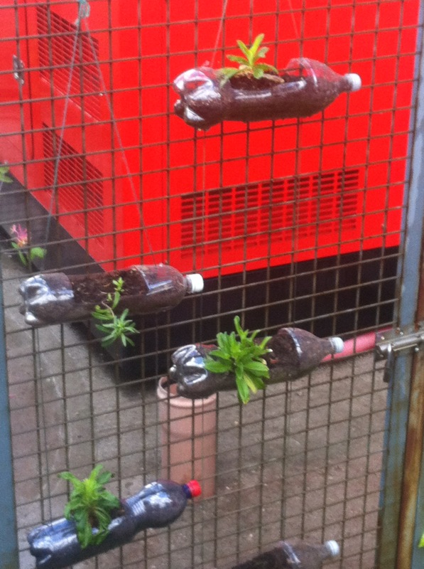 CRÓNICAS DE MUKURU: Un día sin luz eléctrica.