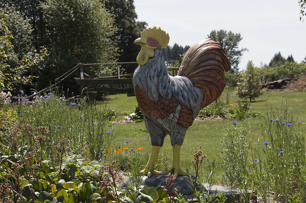 Photographing Oregon Funny Yard Art