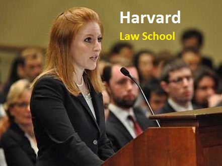 law harvard school llm graduate llb university schools international