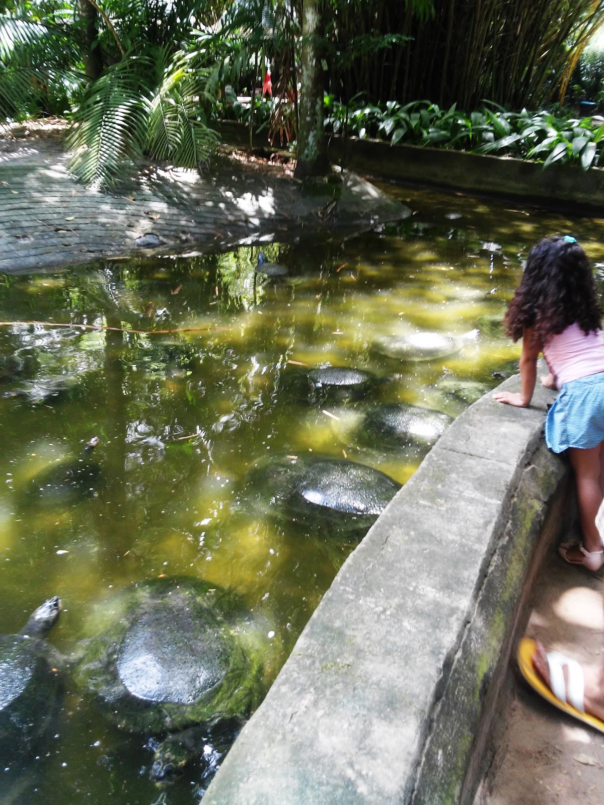 Museu Paraense Emílio Goeldi