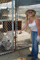 Mary Cummins, Animal Advocates, Tiger Rescue, Real Estate Appraiser, Los Angeles, California