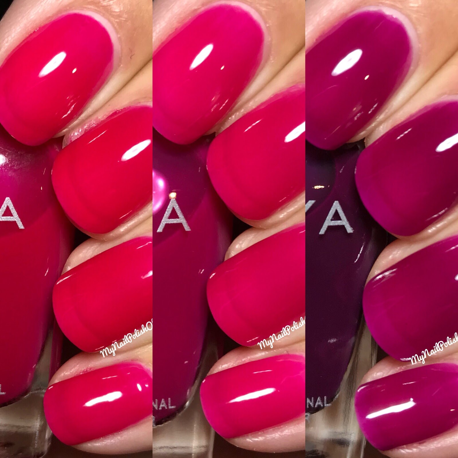 My Nail Polish Obsession: Zoya; Jelly Brites