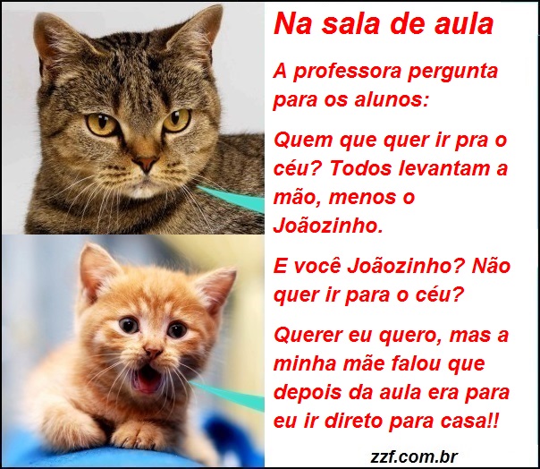 Zzf Seu Blog de Frases,Dicas e Coisas Legais Piada do joãozinho na