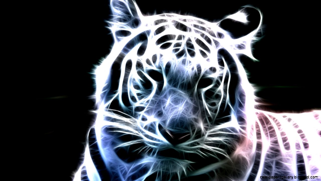 White Tiger Wallpaper 3D Wallpapers Gallery