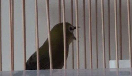 Blog Archives Ksfasr