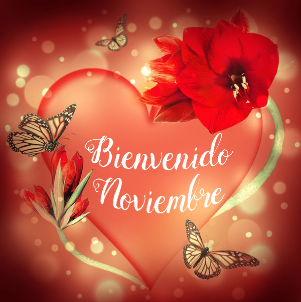 Bienvenido Noviembre (Imágenes para las Redes Sociales)