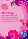 My Little Pony Pony Collection Set Beachberry Blind Bag Card