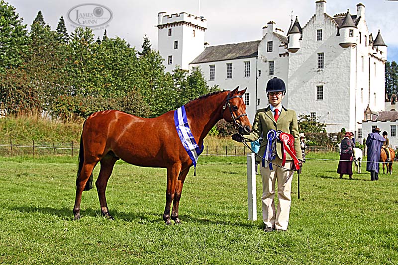 James Gunn Photography Blair Castle International Horse Trials