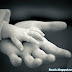 Nợ ba mẹ một lời cảm ơn