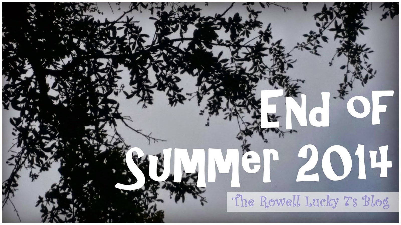 Lucky7s Studio The End of Summer Recap