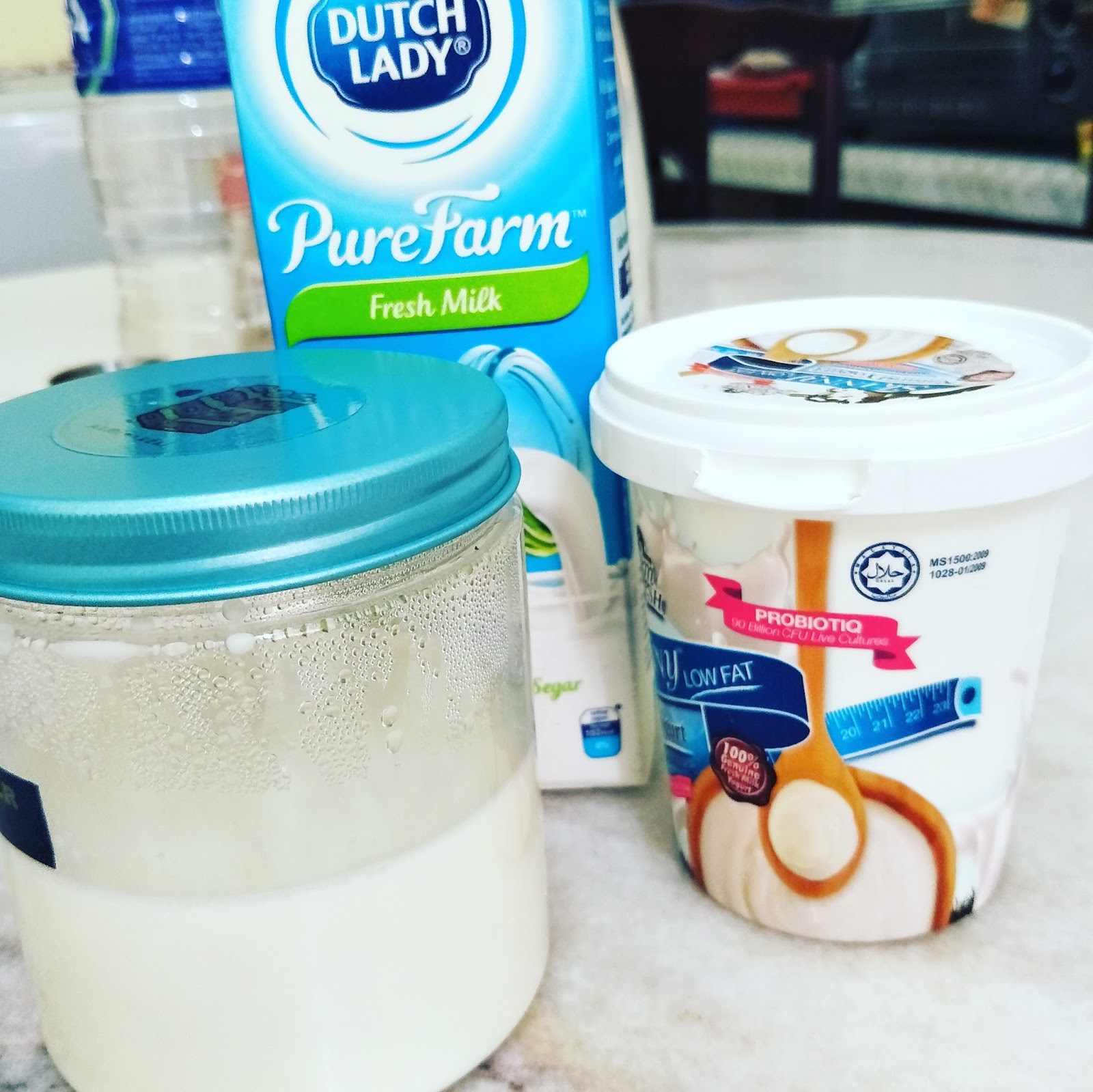 Cara Membuat Susu Yogurt Menggunakan Yogurt Sediaada