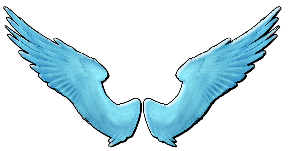 amo a Shane Gray: Alas png