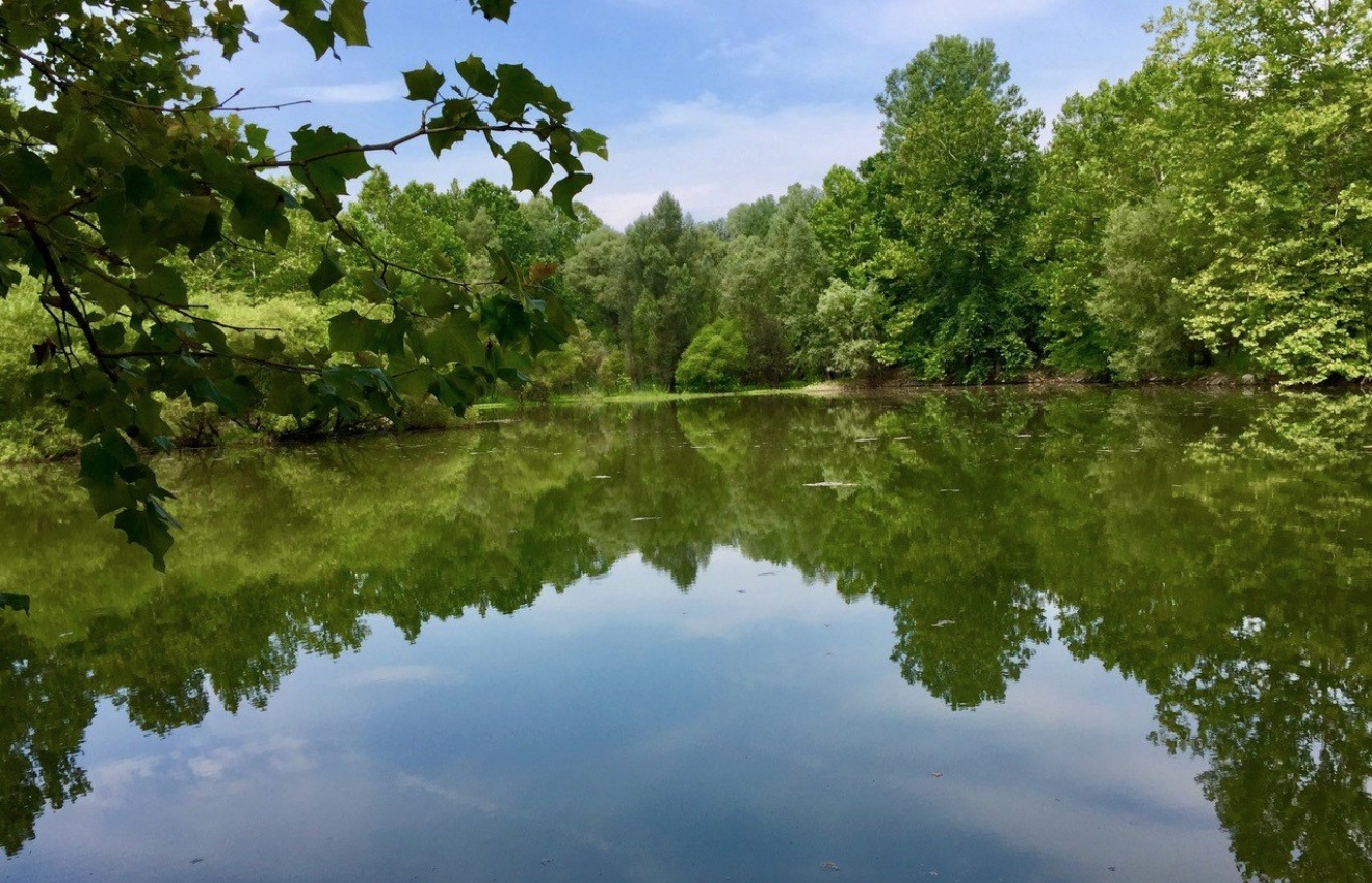 PA Environment Digest Blog Tinicum Conservancy Helps Preserve 107 Acre