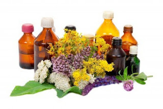 Tratamientos Caseros Y Plantas Medicinales Para Curar la Psoriasis