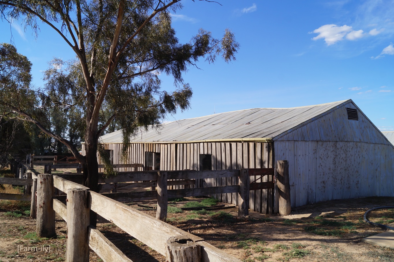 [Farmily] Sheep Stations & National Parks