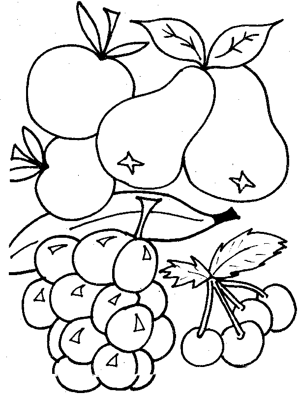 clipart of vegetables in black and white - photo #23