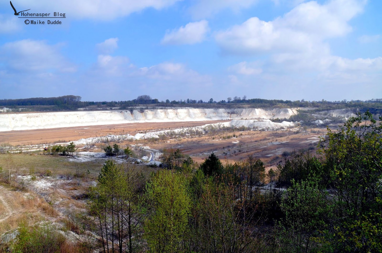Die Bucherkiste Alles Querbeet In Meinem Bucherblog