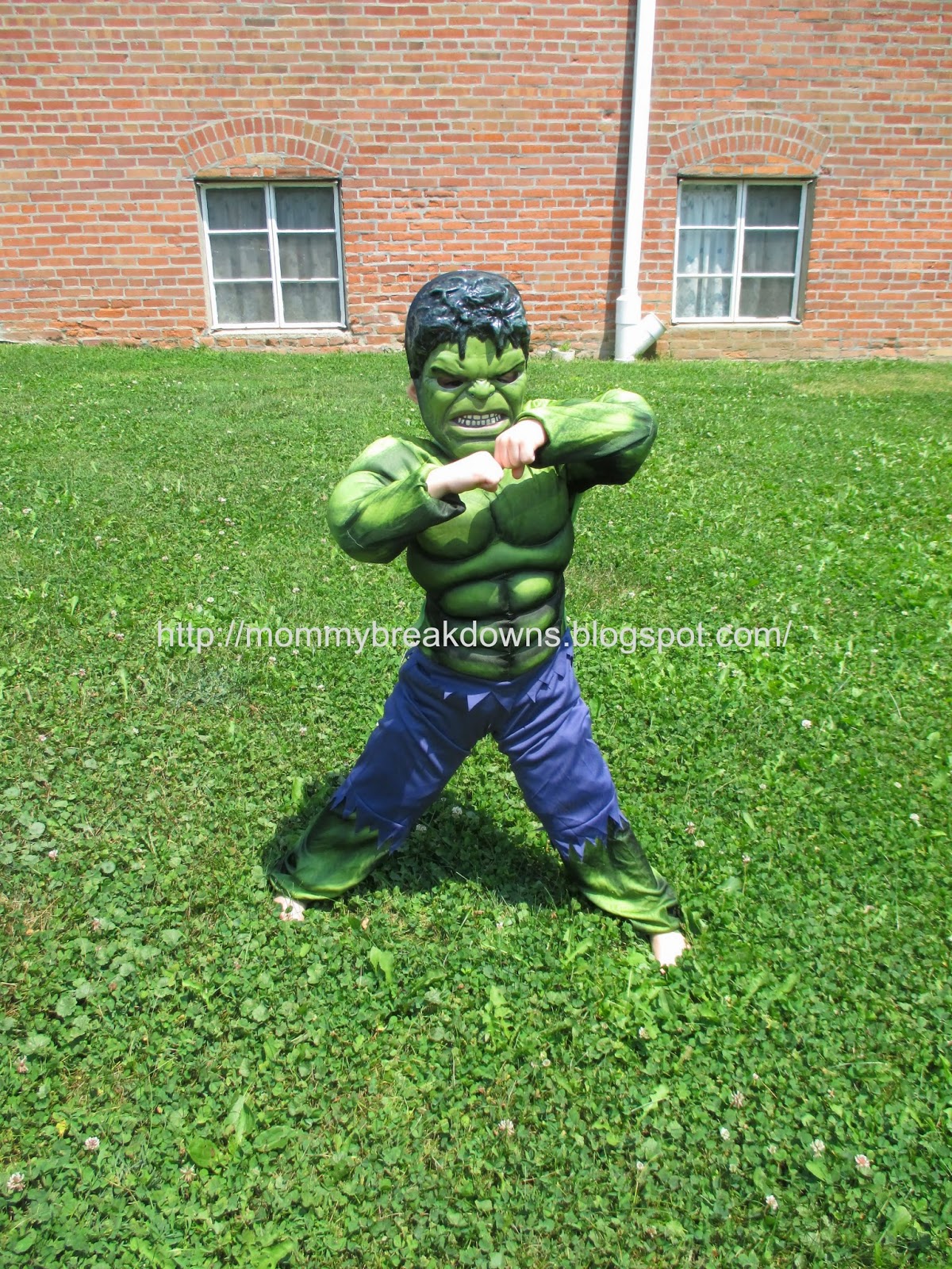 Mommy break downs Incredible Hulk Costumes