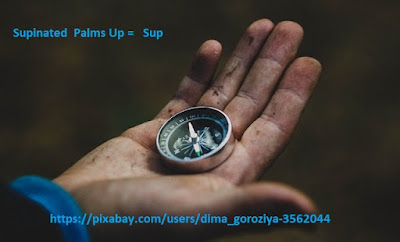 <a href="https://pixabay.com/photos/compass-hand-travel-direction-1753659/">Image</a> by <a href="https://pixabay.com/users/dima_goroziya-3562044/">dima_goroziya</a> on Pixabay