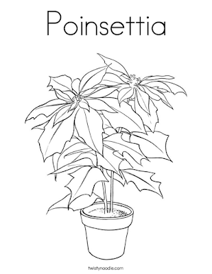Poinsettia coloring page 1