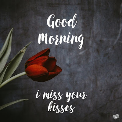 good morning good morning