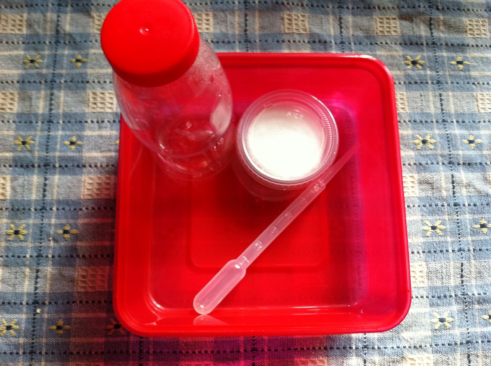 Happy Guppies Vinegar Eels (Live Fish Food)