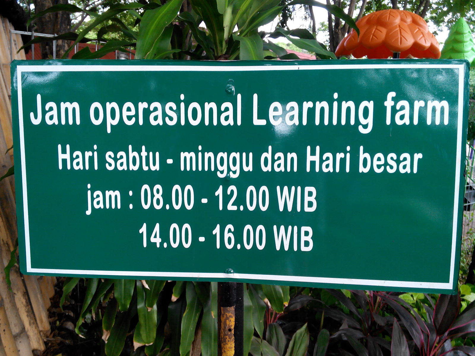 anto-cihui: Jalan-jalan ke Ecopark Ancol