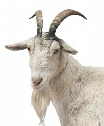 Investigate the "investigators"! Part 2: FBI as "a high church for the true mediocre"