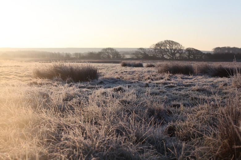 Visit isle of wight special offers FROSTY YARMOUTH | N for Nao