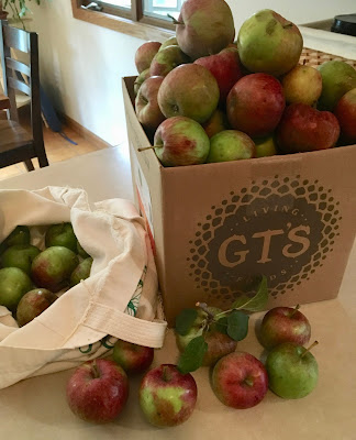 The Cattail Cottage Journal