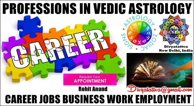 Horoscopes Career Jobs Professions In Vedic Astrology Planets Houses For Writing Author Poet : Choosing Right Career For Success