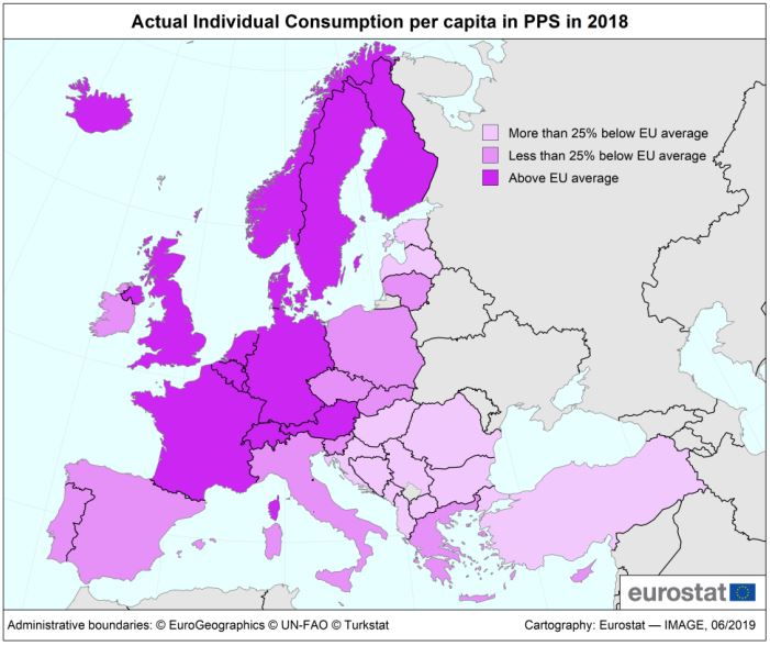 Three Dogs In A Garden Lilacs Planting Care And Pruning