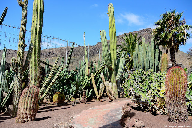 Gran Canaria Parque de los Cocodrilos