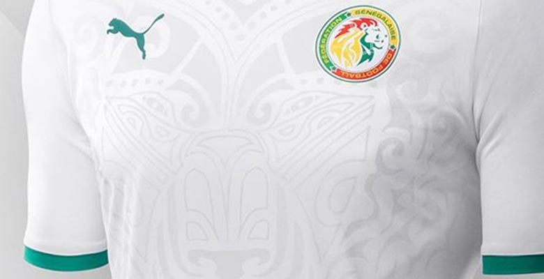 Image result for senegal world cup 2018 kit