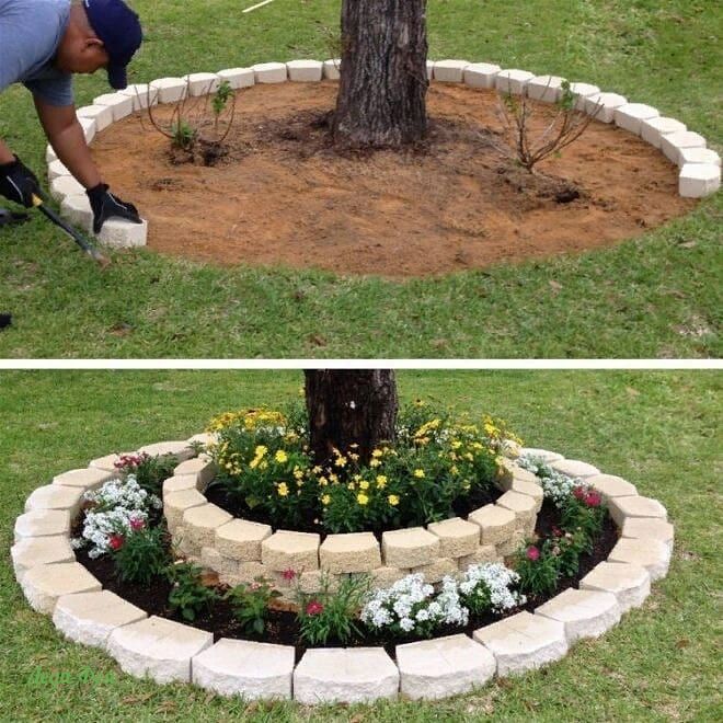 Aprende a decorar con círculos alrededor de los árboles de tu jardín