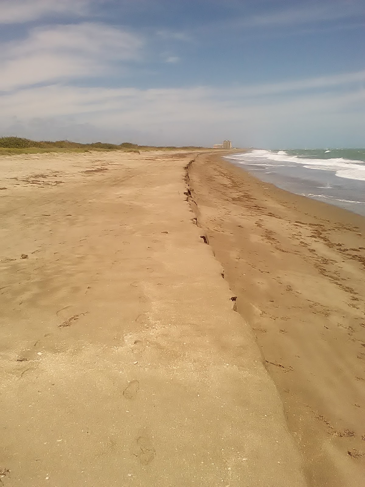 The Treasure Beaches Report Direct From Florida's Treasure Coast. 3/26