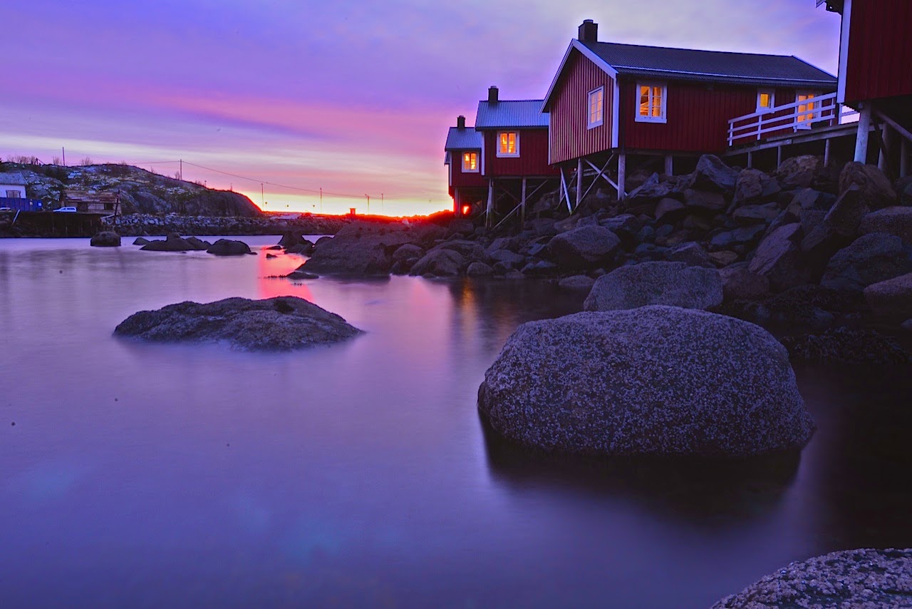 BioFoto S rlandet Fotosamling Ved Nordland Biofoto 6 8 November 