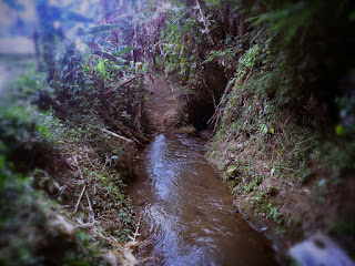 Natural View Small River View At The Farming Area Of Ringdikit Village, Buleleng, North Bali, Indonesia