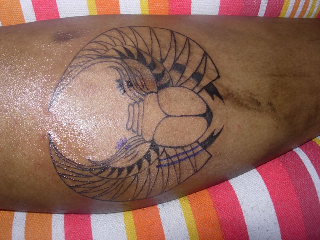 Danho Tattoo: Escarabajo egipcio