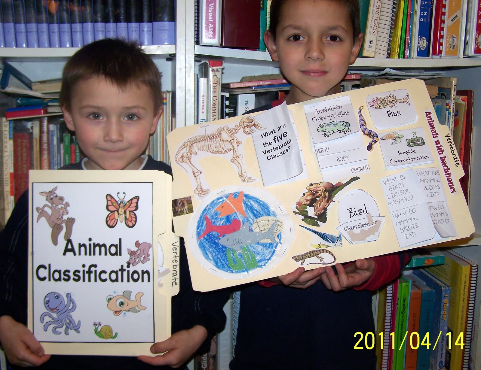 Animal Classification Lapbook Animal Classification Lapbook Images ...