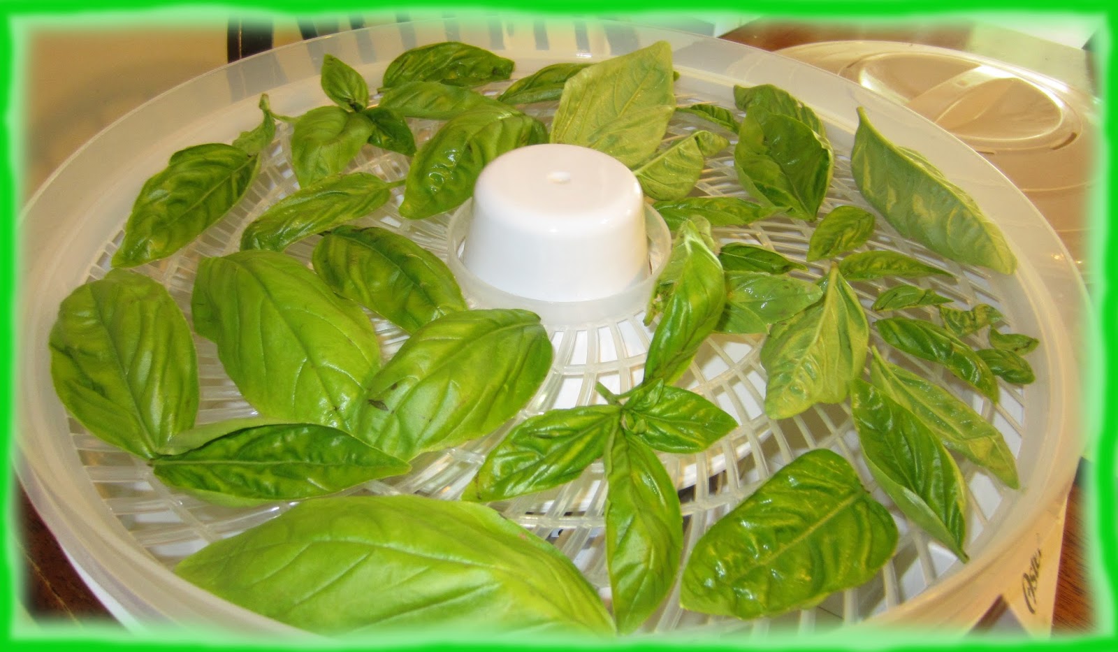 EasyMeWorld How To Dehydrate Basil