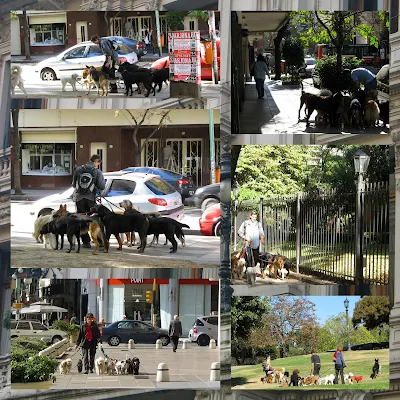 Buenos Aires City Break: Look out for dog walkers