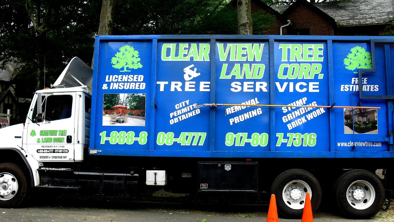 Island Trees School District v. Pico Tree Choices